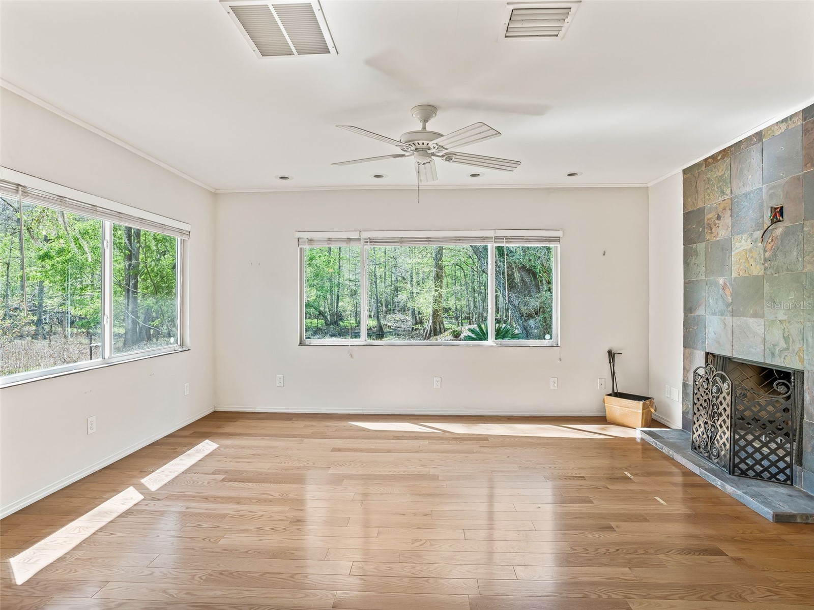 8701 Cr 647 S Bushnell FL 33513 - WITHLACOOCHEE RIVER G5109081 image8