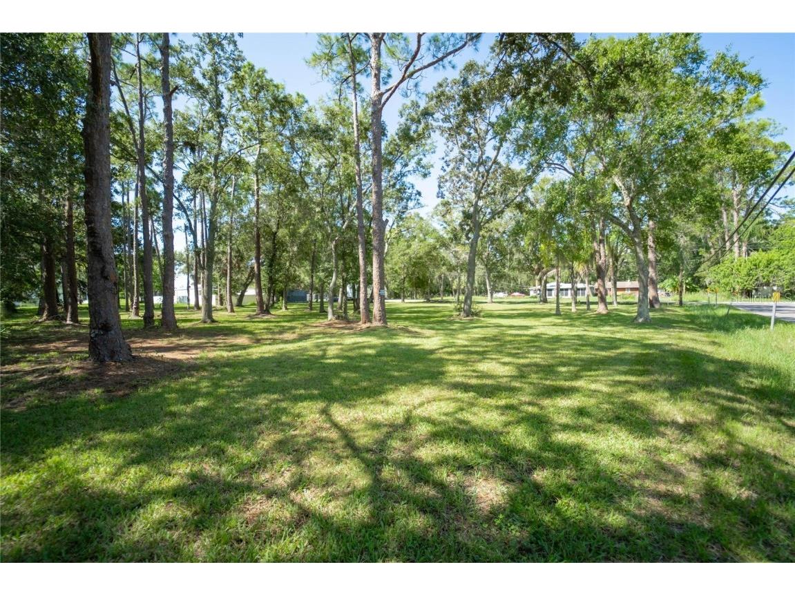 8701 Hart Lane Tampa FL 33635 T3471410 image1