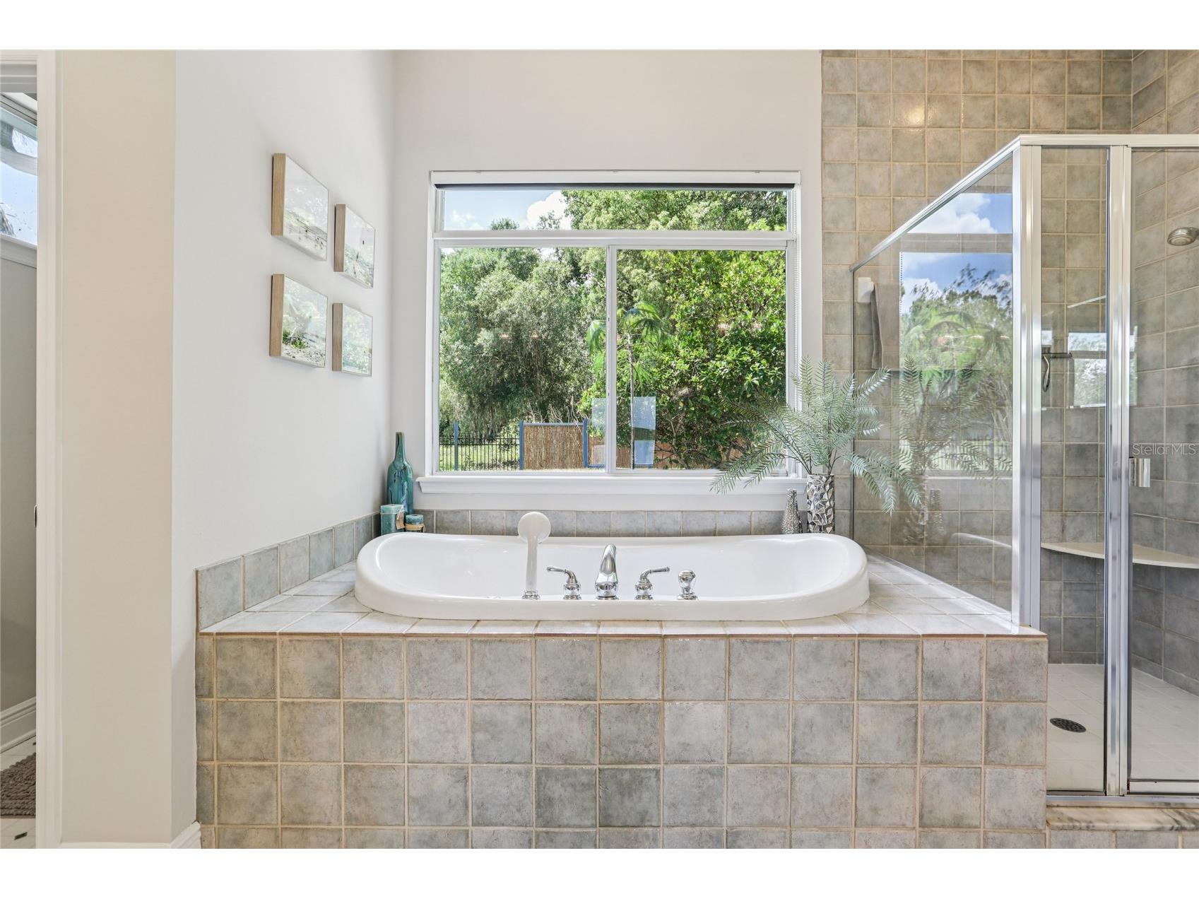 8701 Lake Calm Lane Odessa FL 33556 - LAKE CALM TB8510173 image37