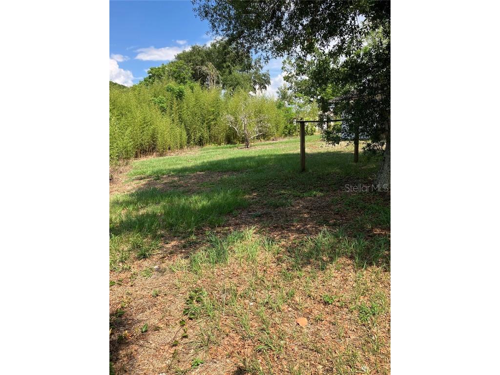 8701 N Temple Avenue N Tampa FL 33617 T3447797 image1