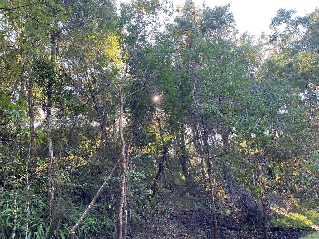 8701 S Fruition Avenue Floral City FL 34436 TB8373221 image11