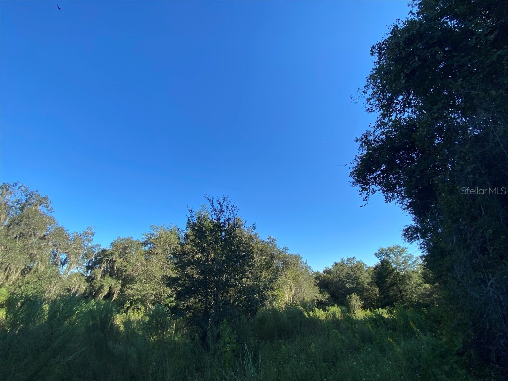 8701 S Fruition Avenue Floral City FL 34436 TB8373221 image17