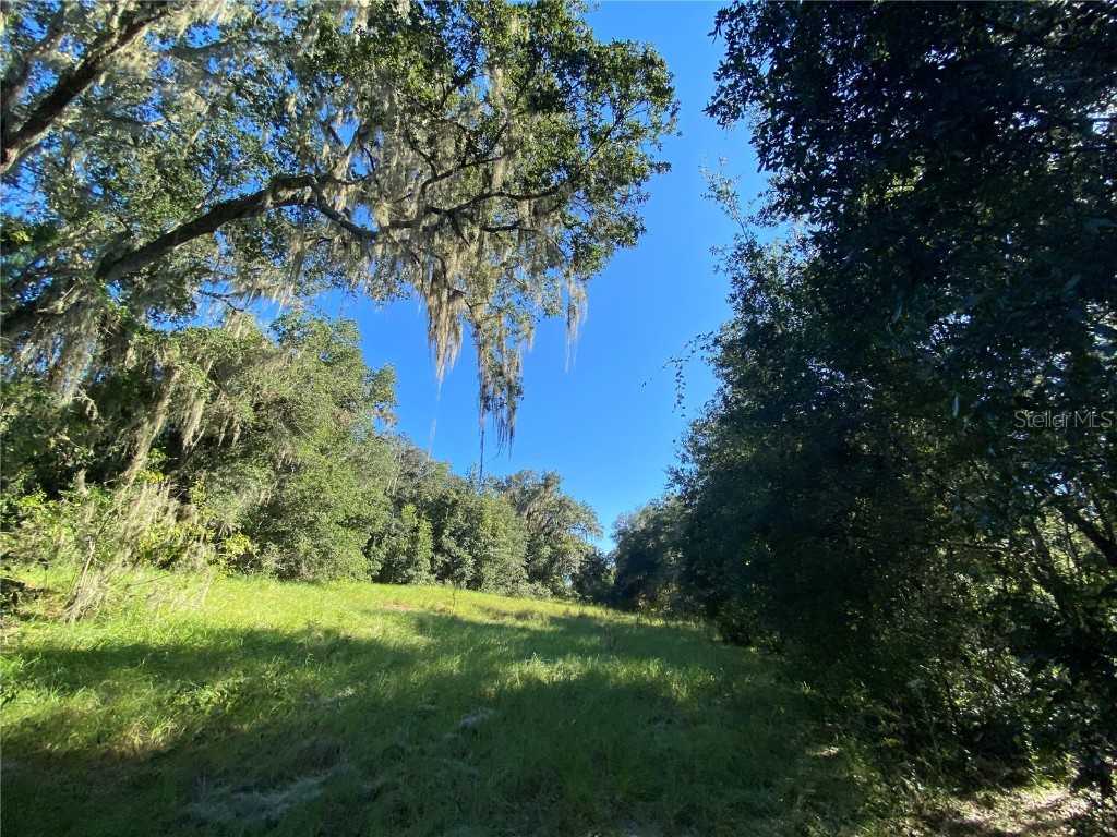 8701 S Fruition Avenue Floral City FL 34436 TB8373221 image2