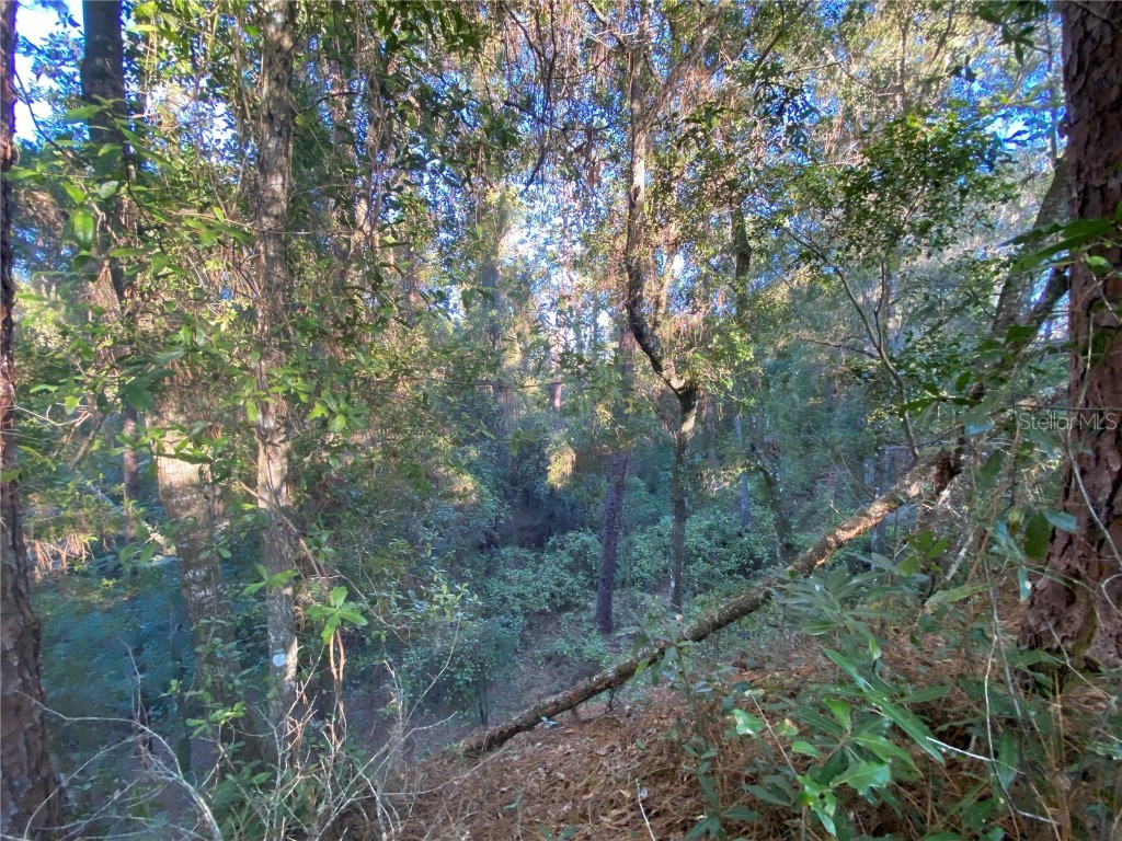 8701 S Fruition Avenue Floral City FL 34436 TB8373221 image23