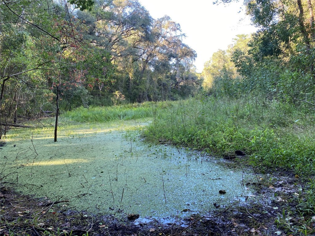 8701 S Fruition Avenue Floral City FL 34436 TB8373221 image25