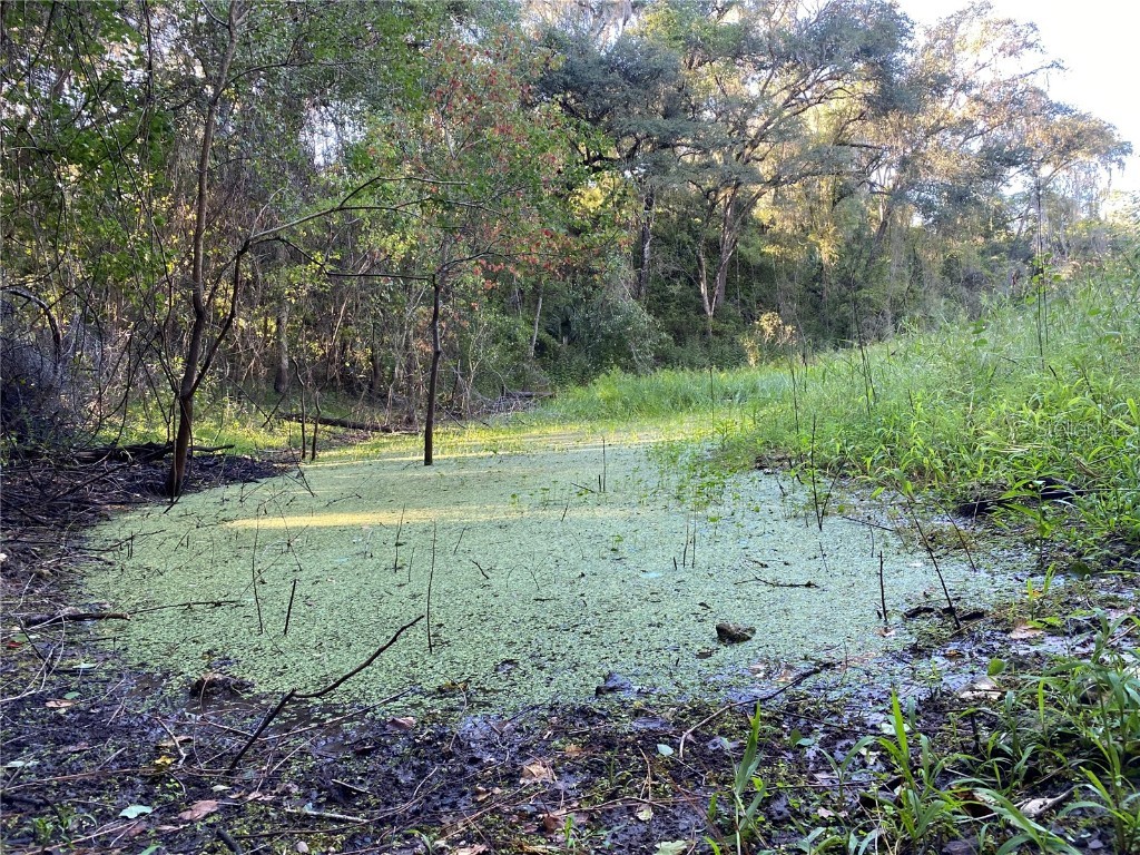 8701 S Fruition Avenue Floral City FL 34436 TB8373221 image26