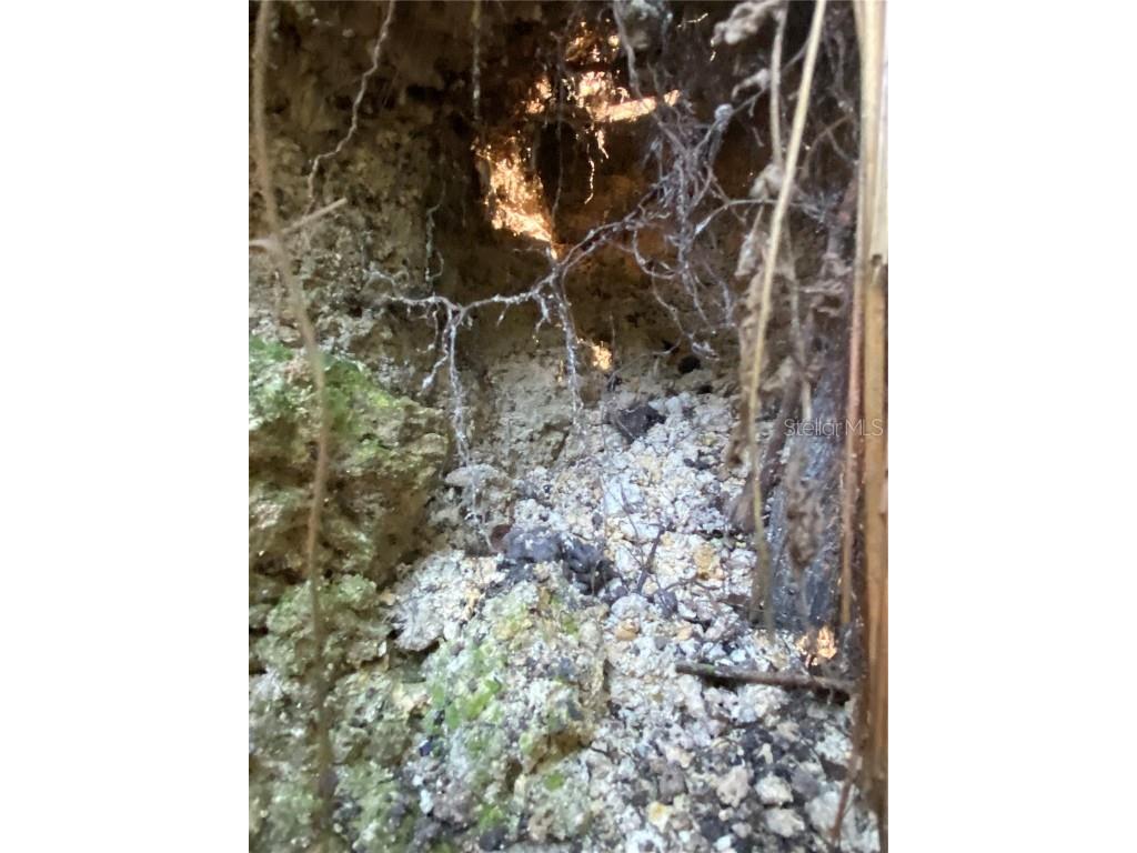 8701 S Fruition Avenue Floral City FL 34436 TB8373221 image28