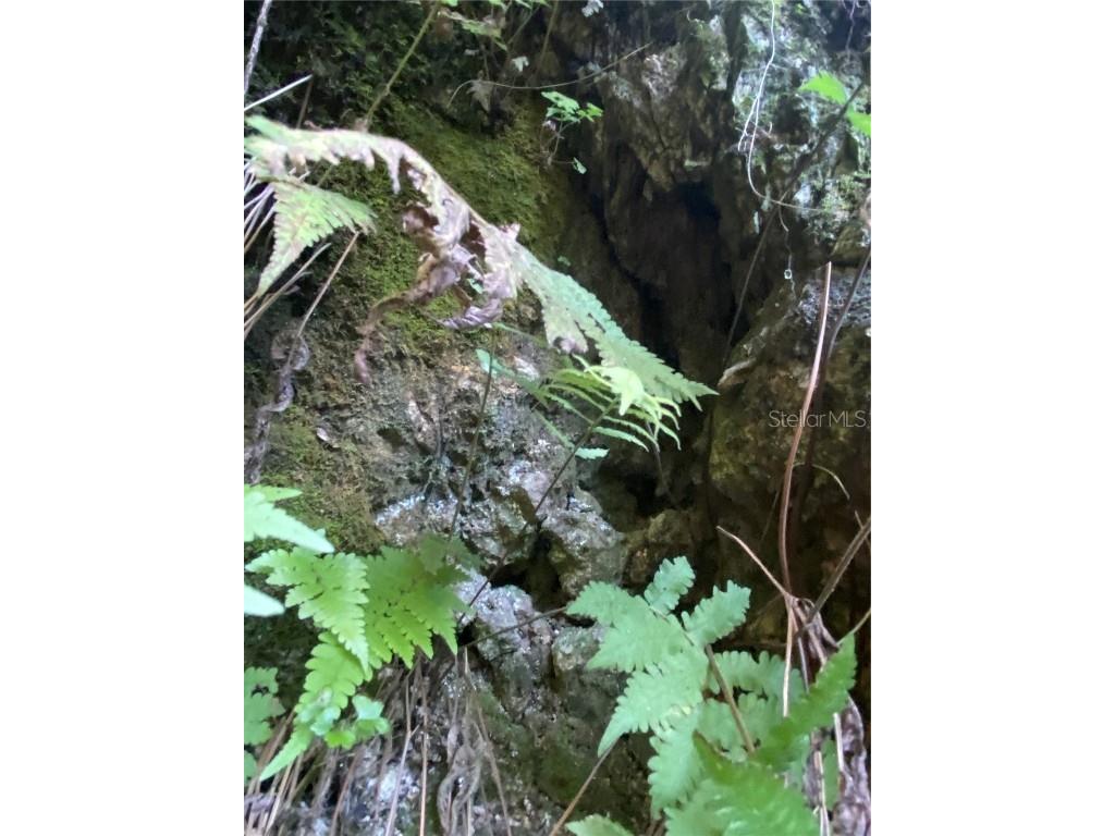 8701 S Fruition Avenue Floral City FL 34436 TB8373221 image29