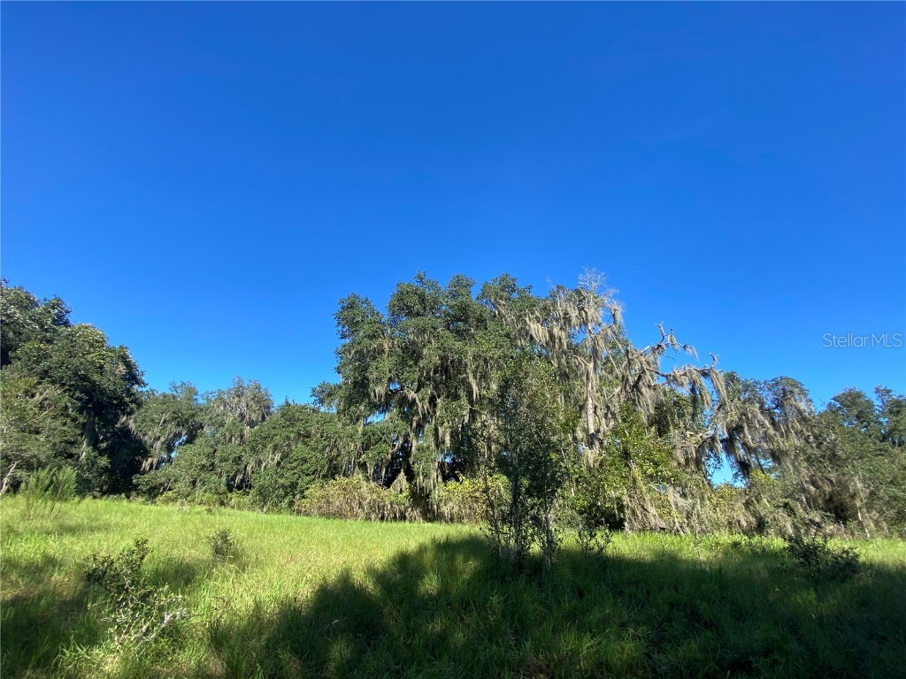 8701 S Fruition Avenue Floral City FL 34436 TB8373221 image33