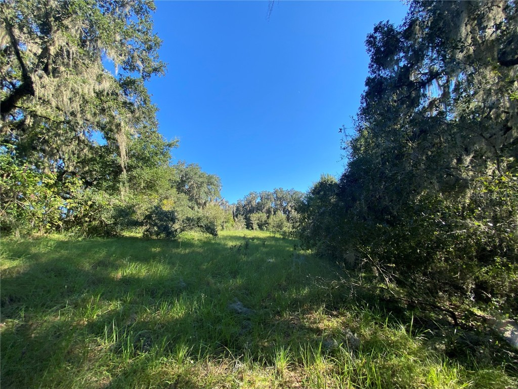 8701 S Fruition Avenue Floral City FL 34436 TB8373221 image35