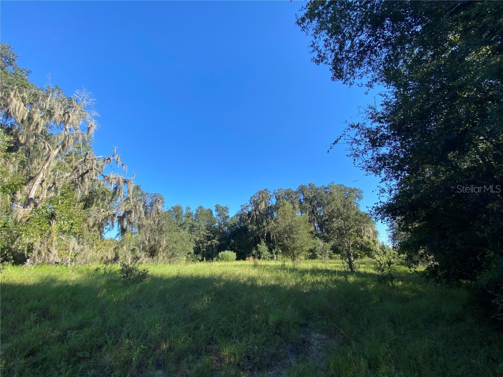 8701 S Fruition Avenue Floral City FL 34436 TB8373221 image4