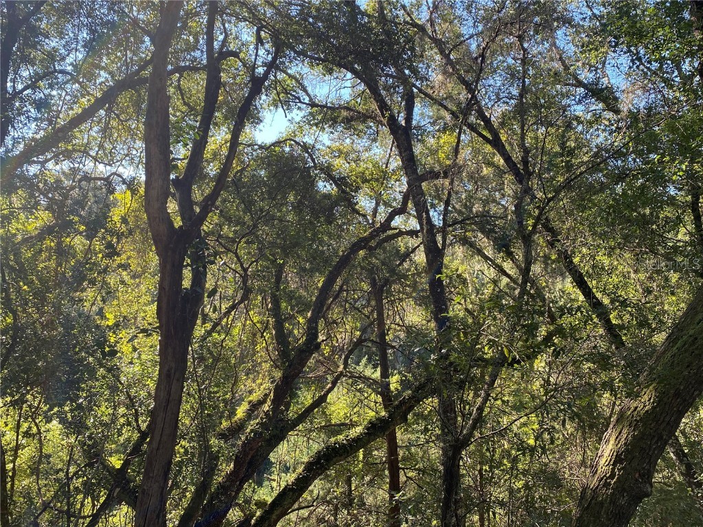 8701 S Fruition Avenue Floral City FL 34436 TB8373221 image43