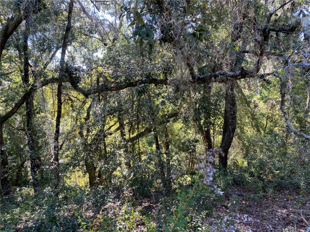 8701 S Fruition Avenue Floral City FL 34436 TB8373221 image44