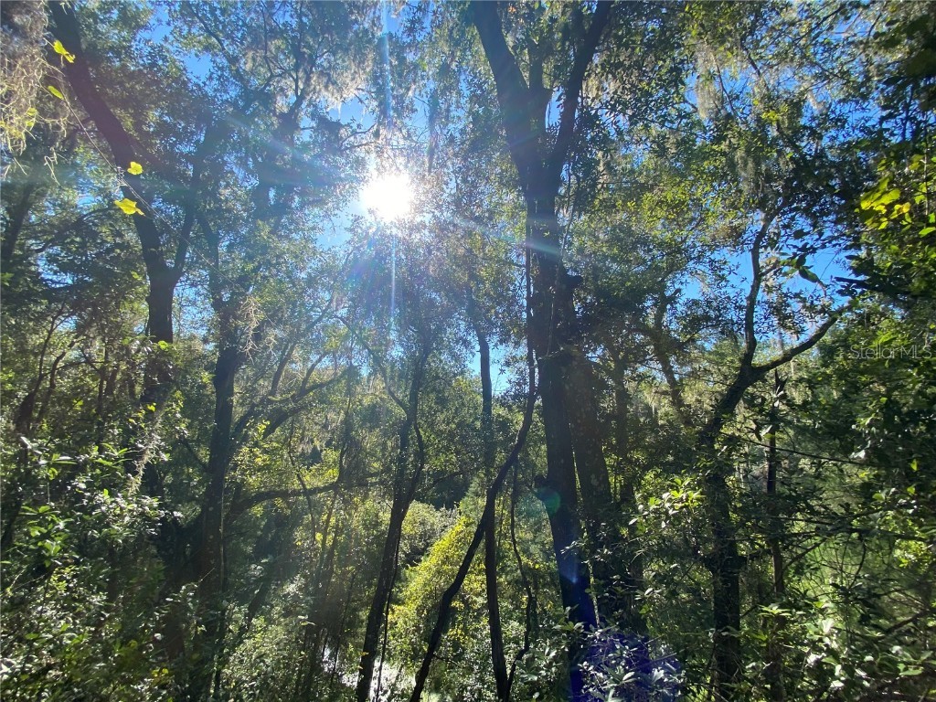 8701 S Fruition Avenue Floral City FL 34436 TB8373221 image45