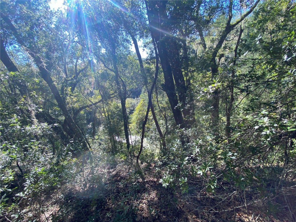 8701 S Fruition Avenue Floral City FL 34436 TB8373221 image46