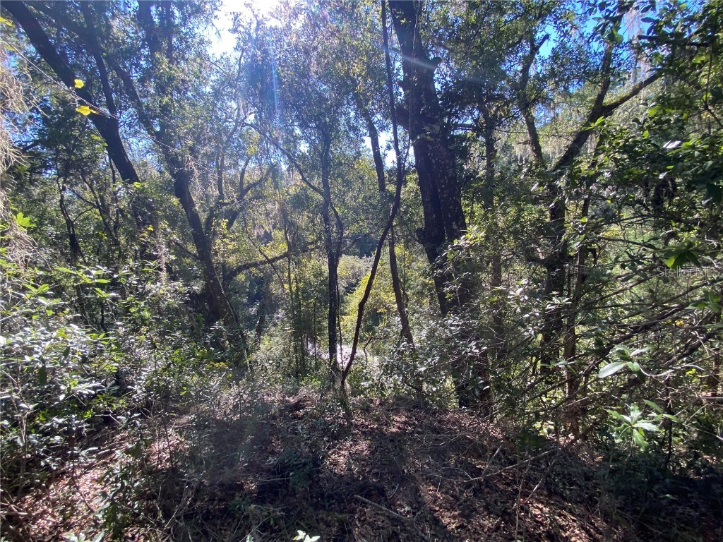 8701 S Fruition Avenue Floral City FL 34436 TB8373221 image48