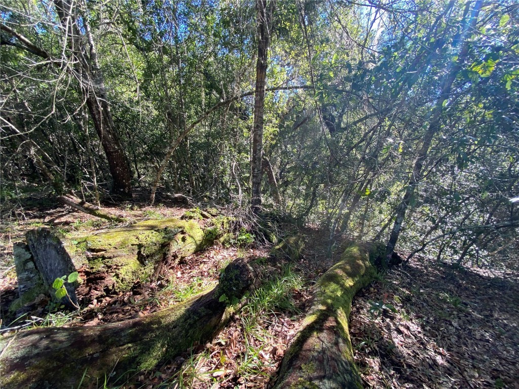 8701 S Fruition Avenue Floral City FL 34436 TB8373221 image49