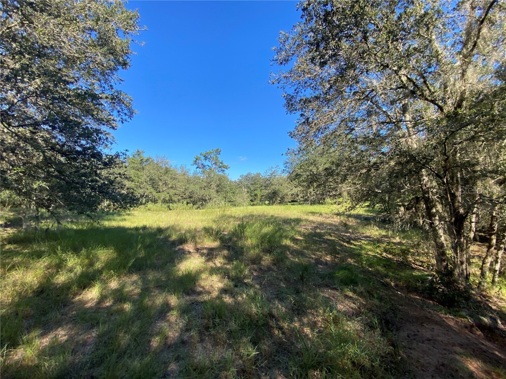 8701 S Fruition Avenue Floral City FL 34436 TB8373221 image50