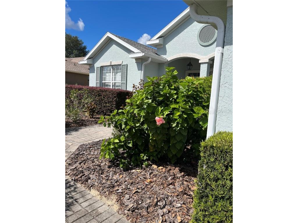 8701 SW 83rd Circle Ocala FL 34481 OM667297 image1