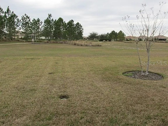 8701 SW 83rd Circle Ocala FL 34481 OM720836 image22