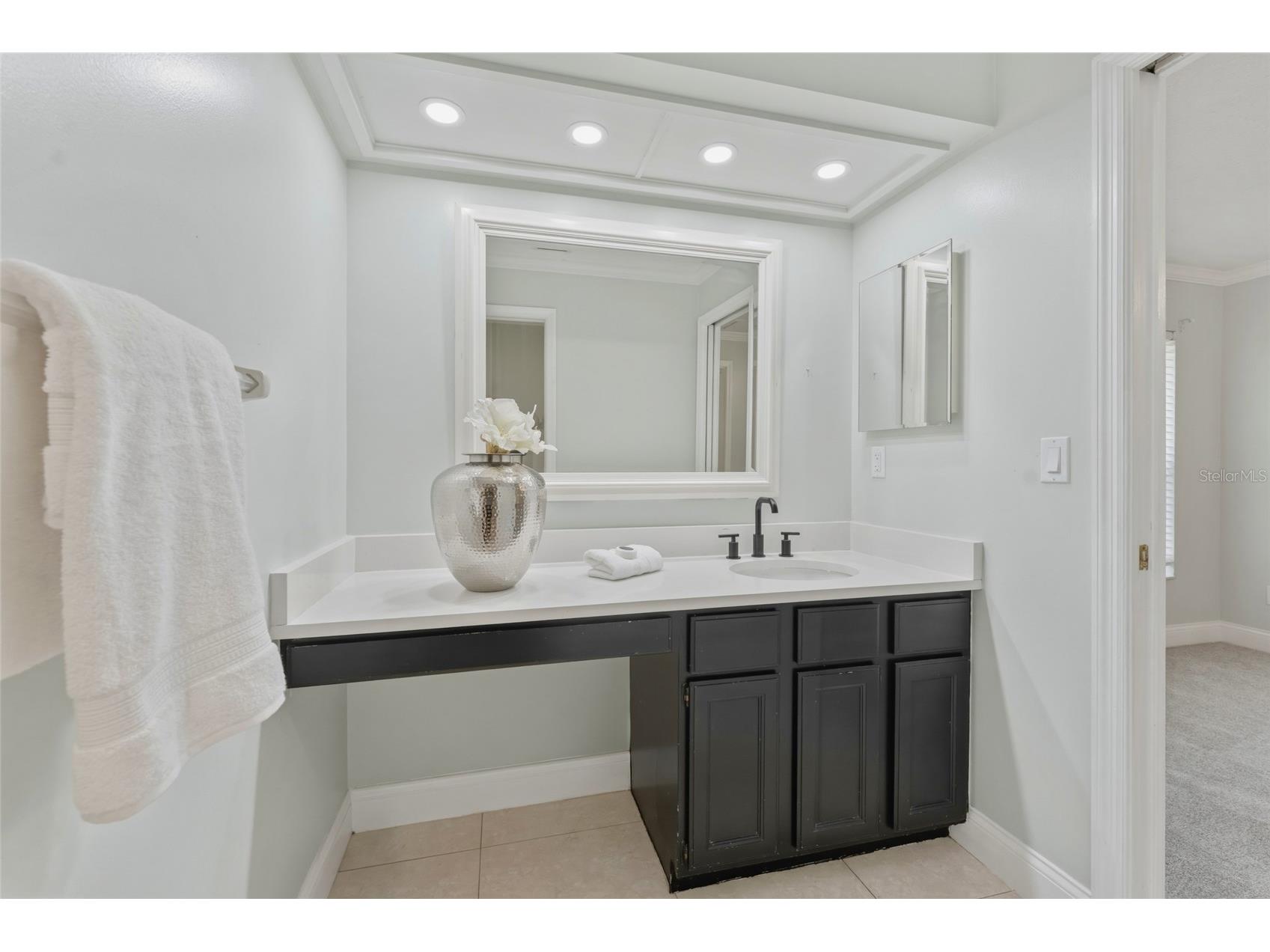 8701 Tantallon Circle Tampa FL 33647 TB8499634 image46