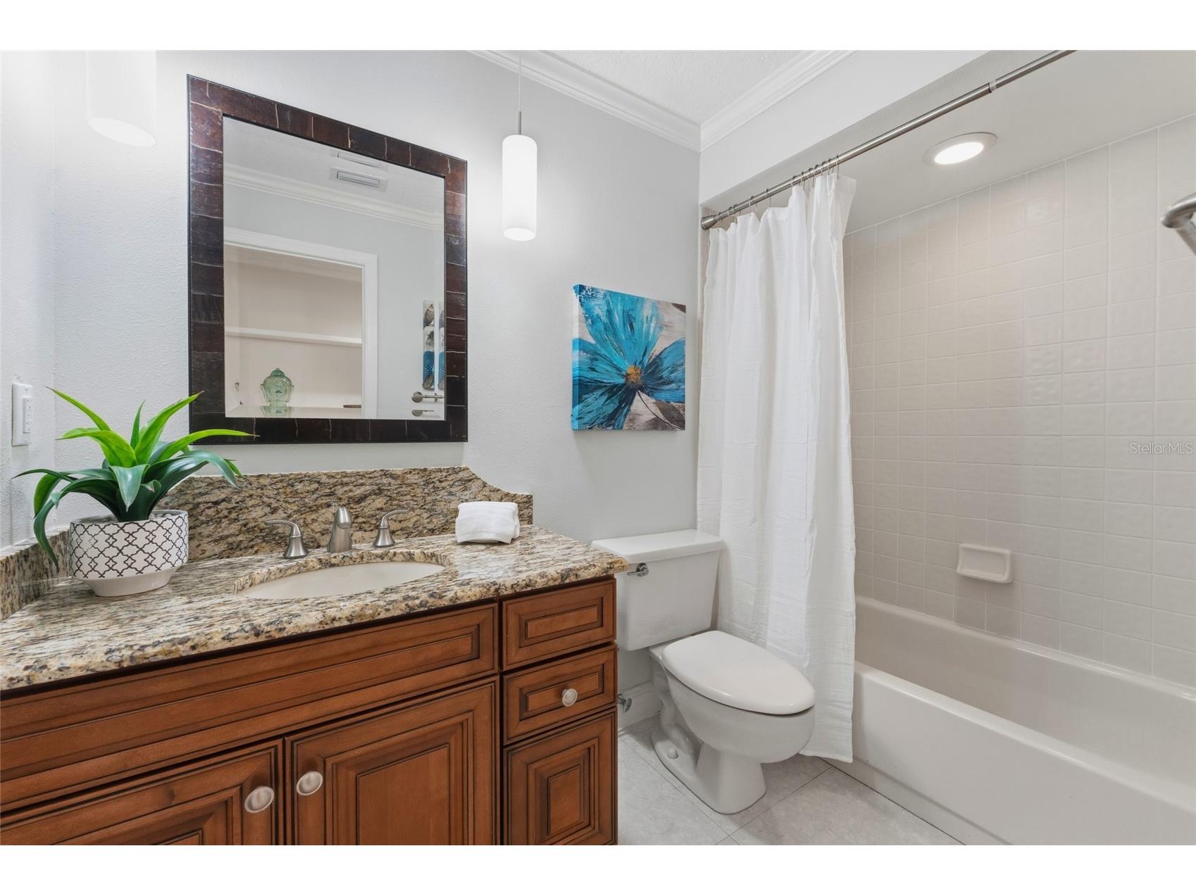 8701 Tantallon Circle Tampa FL 33647 TB8499634 image53