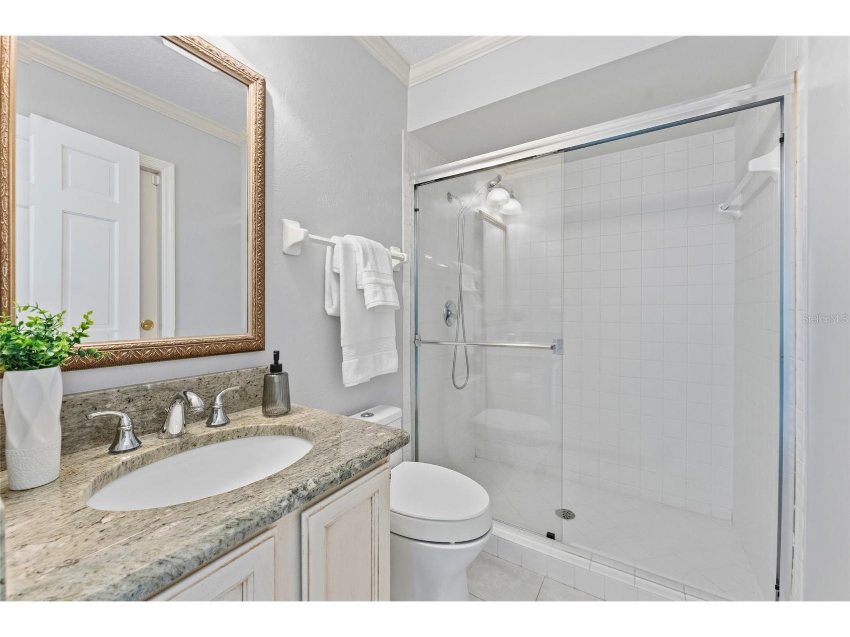 8701 Tantallon Circle Tampa FL 33647 TB8499634 image56
