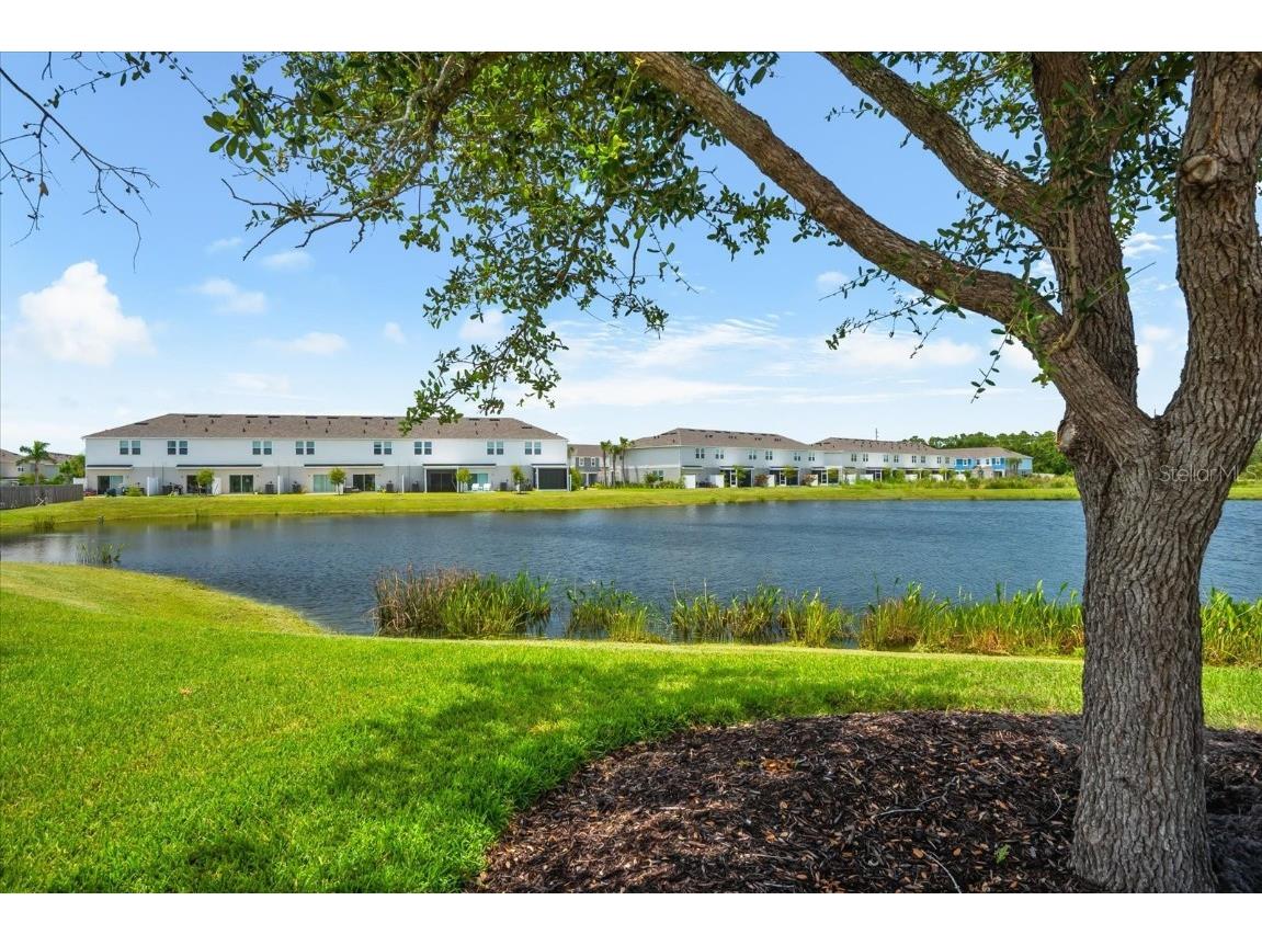 8701 Winter Breeze Sarasota FL 34241 A4659440 image90