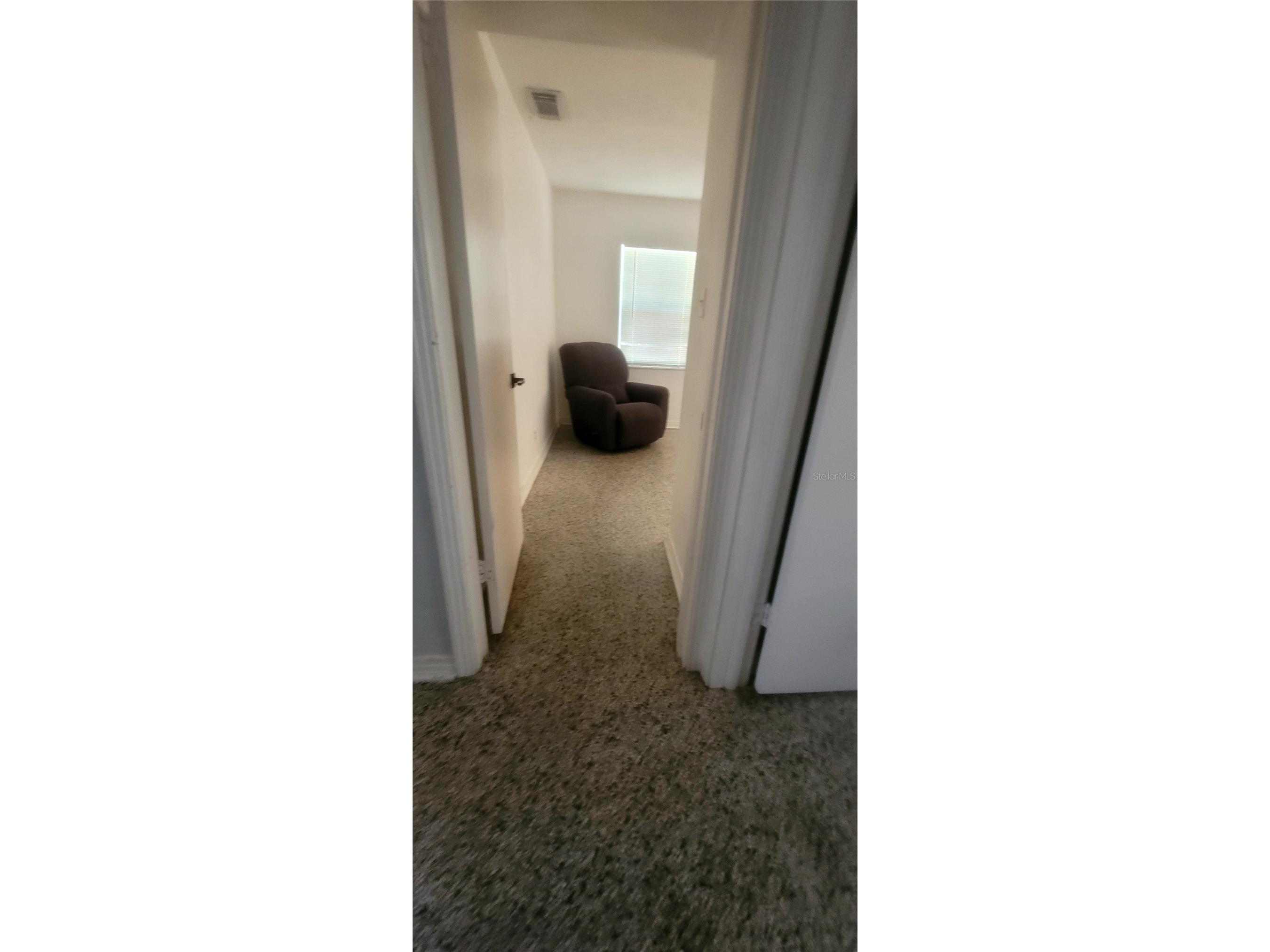 8702 Beverly Drive Tampa FL 33617 TB8516197 image14