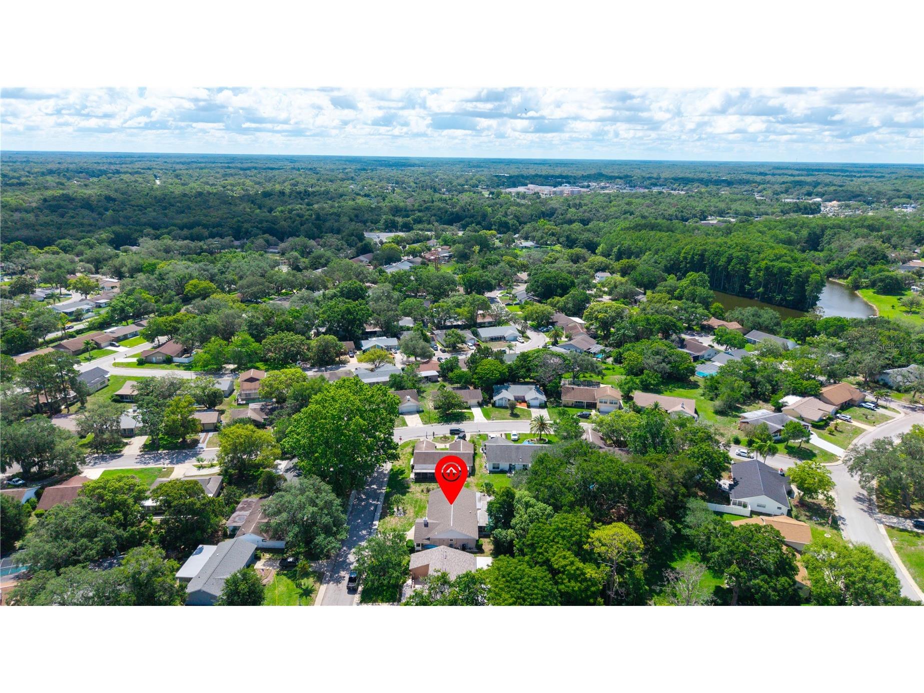 8702 Powderhorn Row Hudson FL 34667 W7886301 image39