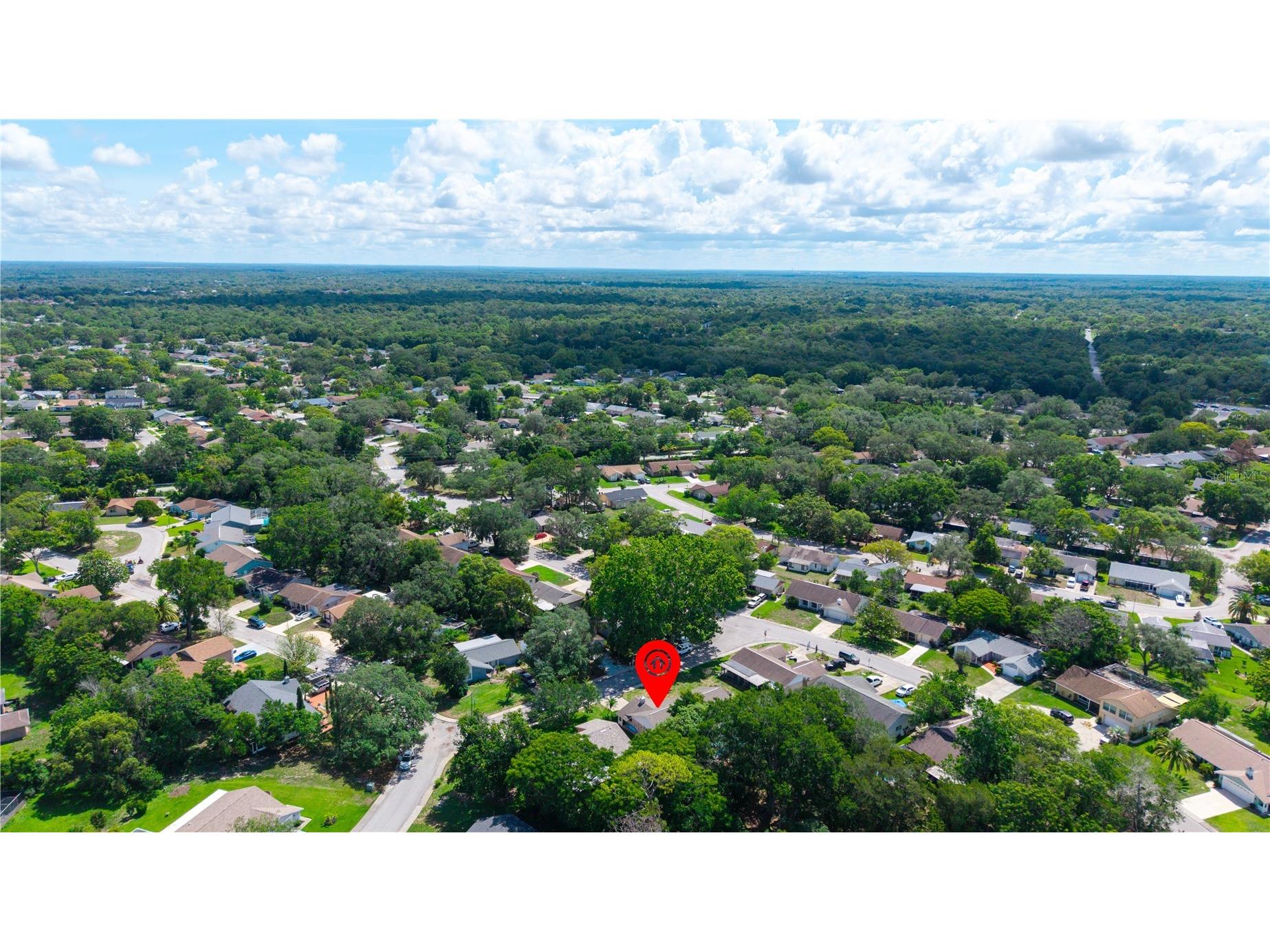 8702 Powderhorn Row Hudson FL 34667 W7886301 image40