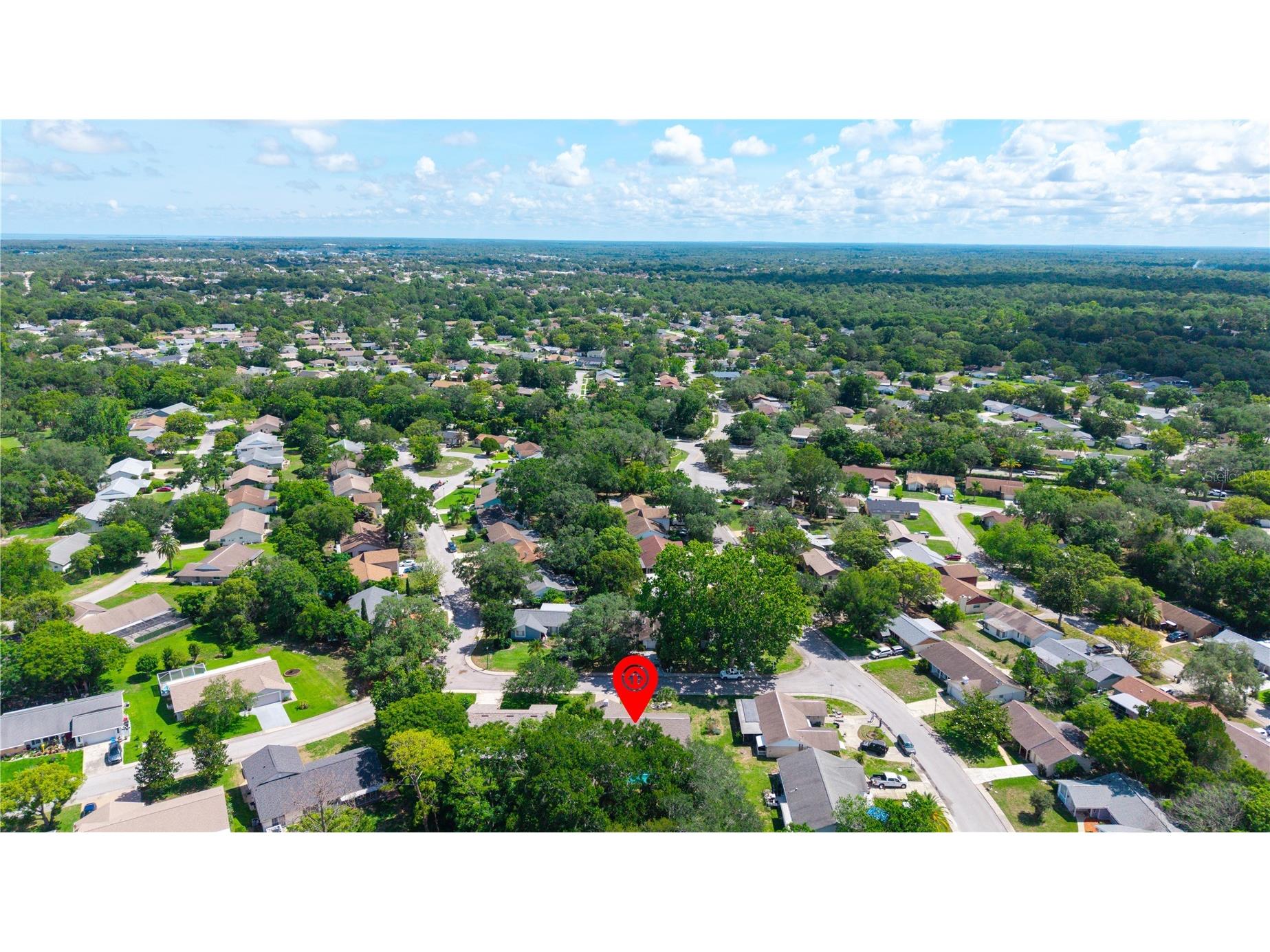 8702 Powderhorn Row Hudson FL 34667 W7886301 image41