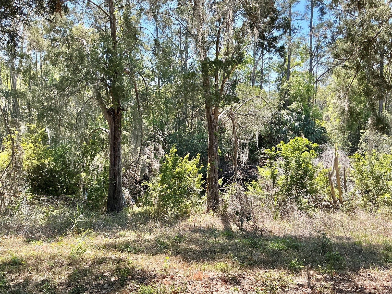 8702 Village Mill Row Hudson FL 34667 TB8489145 image14