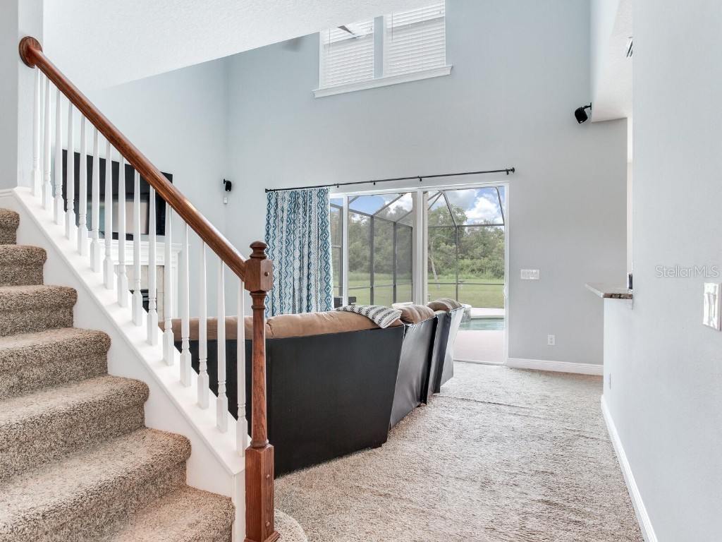 8703 Alafia Hills Drive Plant City FL 33567 TB8427669 image10