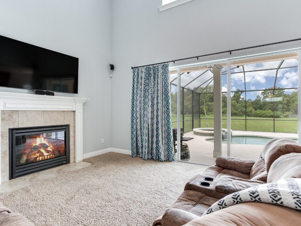 8703 Alafia Hills Drive Plant City FL 33567 TB8427669 image11