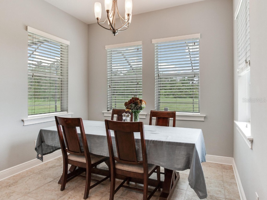 8703 Alafia Hills Drive Plant City FL 33567 TB8427669 image15