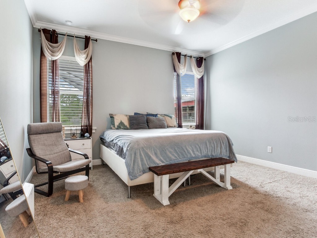 8703 Alafia Hills Drive Plant City FL 33567 TB8427669 image17