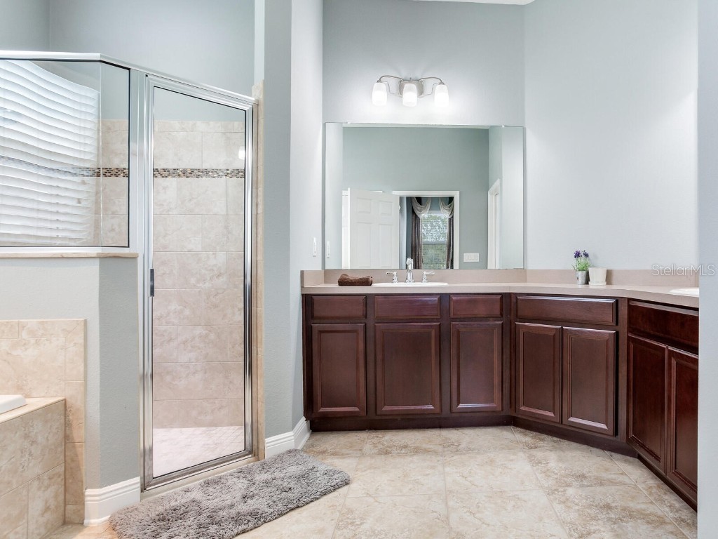 8703 Alafia Hills Drive Plant City FL 33567 TB8427669 image18