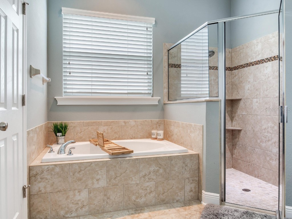 8703 Alafia Hills Drive Plant City FL 33567 TB8427669 image19