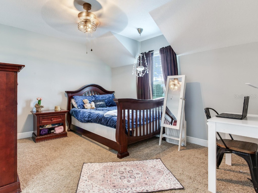 8703 Alafia Hills Drive Plant City FL 33567 TB8427669 image20