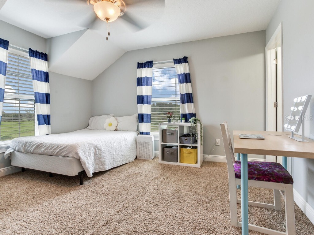 8703 Alafia Hills Drive Plant City FL 33567 TB8427669 image23