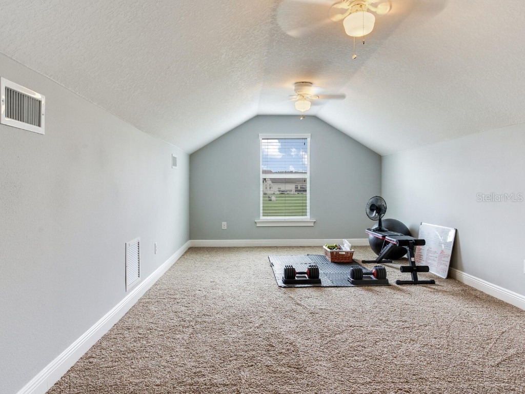 8703 Alafia Hills Drive Plant City FL 33567 TB8427669 image26