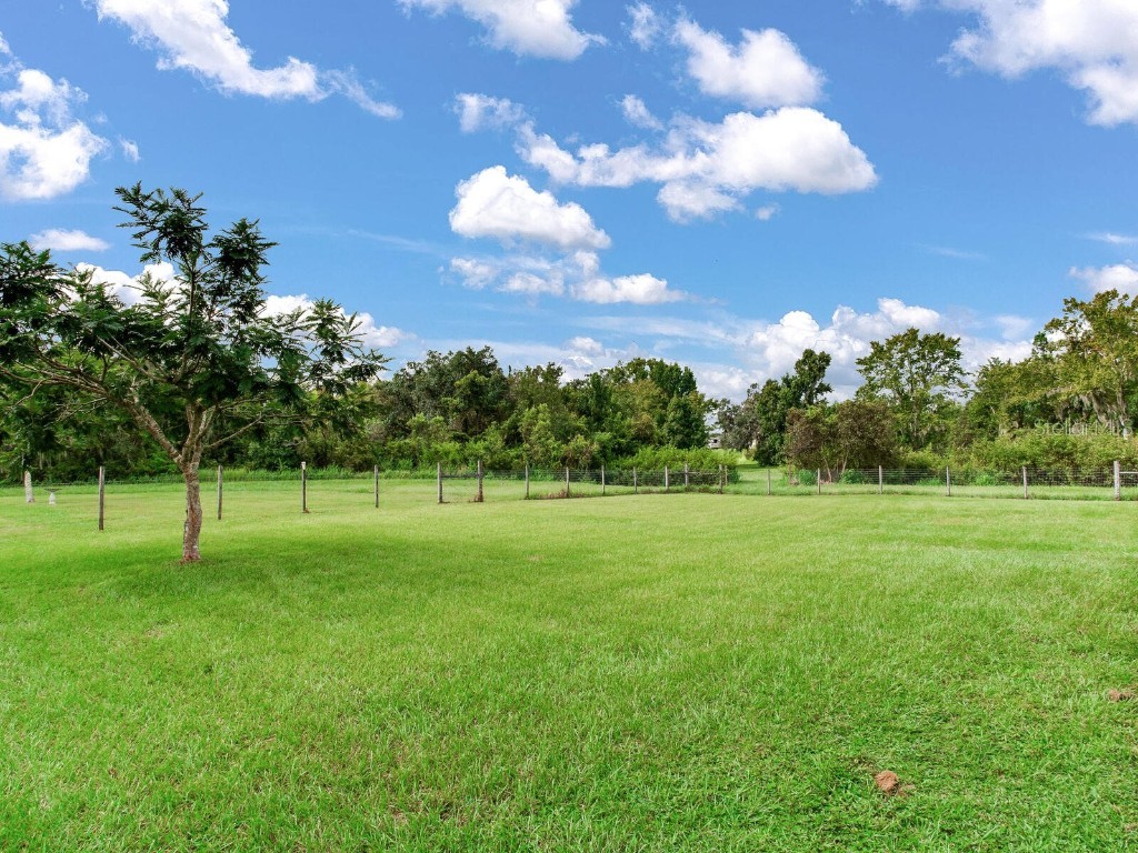 8703 Alafia Hills Drive Plant City FL 33567 TB8427669 image33