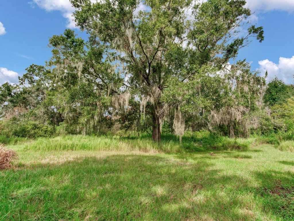 8703 Alafia Hills Drive Plant City FL 33567 TB8427669 image38