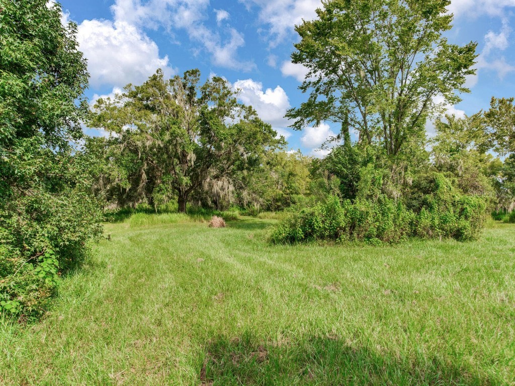 8703 Alafia Hills Drive Plant City FL 33567 TB8427669 image40