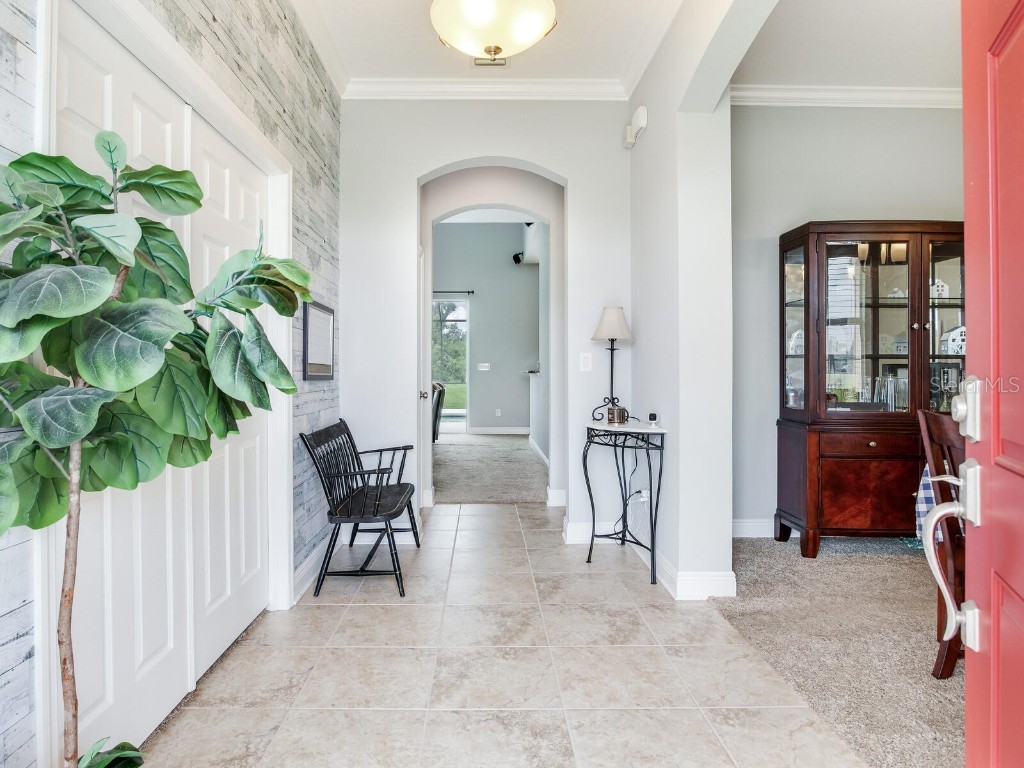 8703 Alafia Hills Drive Plant City FL 33567 TB8427669 image5