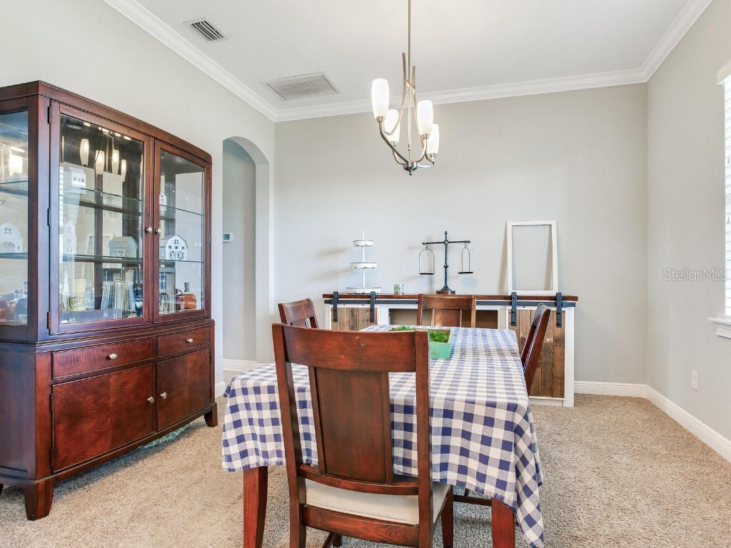 8703 Alafia Hills Drive Plant City FL 33567 TB8427669 image6