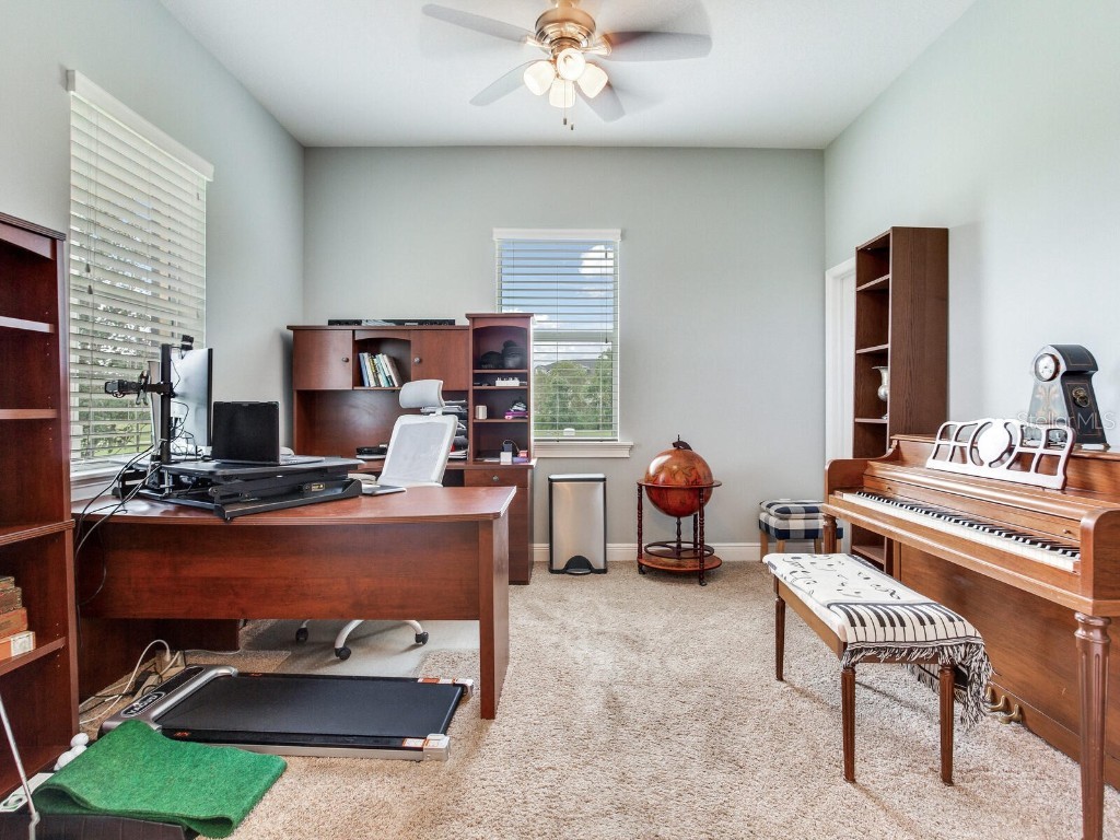 8703 Alafia Hills Drive Plant City FL 33567 TB8427669 image7