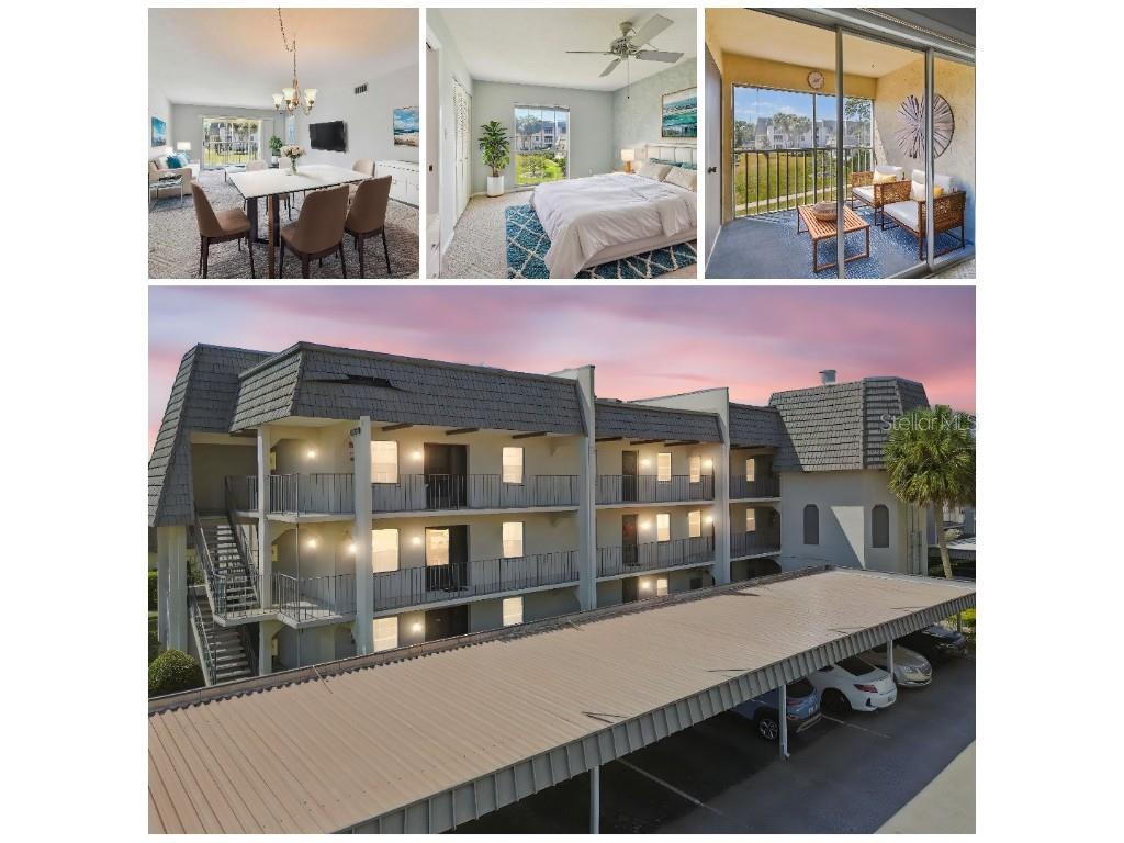 8703 Bardmoor Blvd #203 Seminole FL 33777 TB8368738 image1