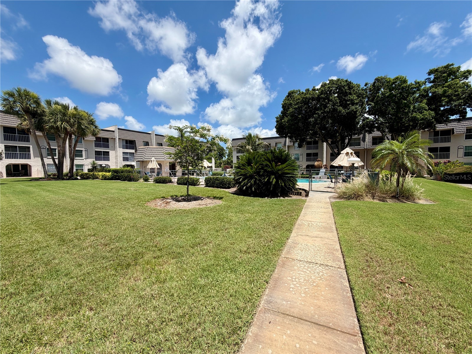 8703 Bardmoor Boulevard #102 Seminole FL 33777 TB8521971 image23